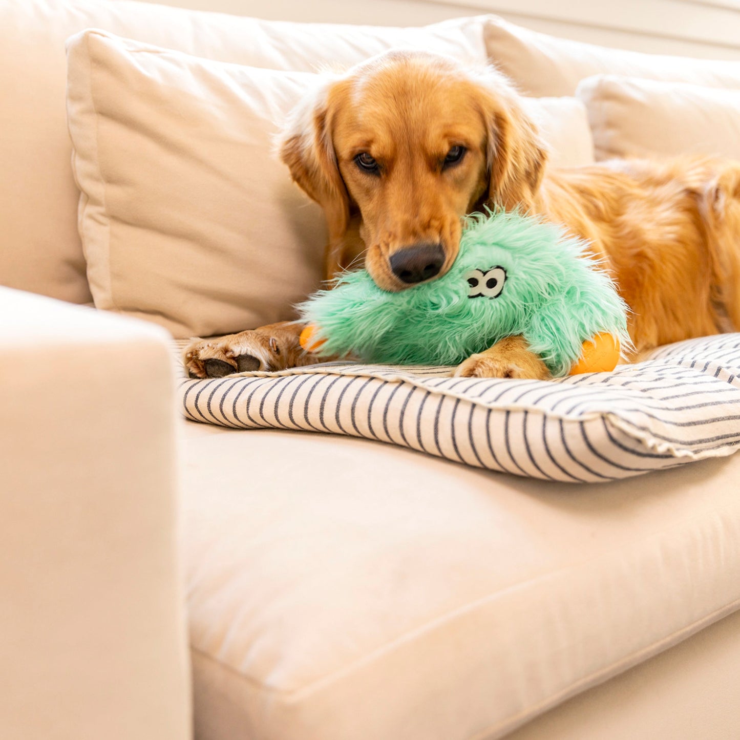 Bjorn Rowdie Dog Toy