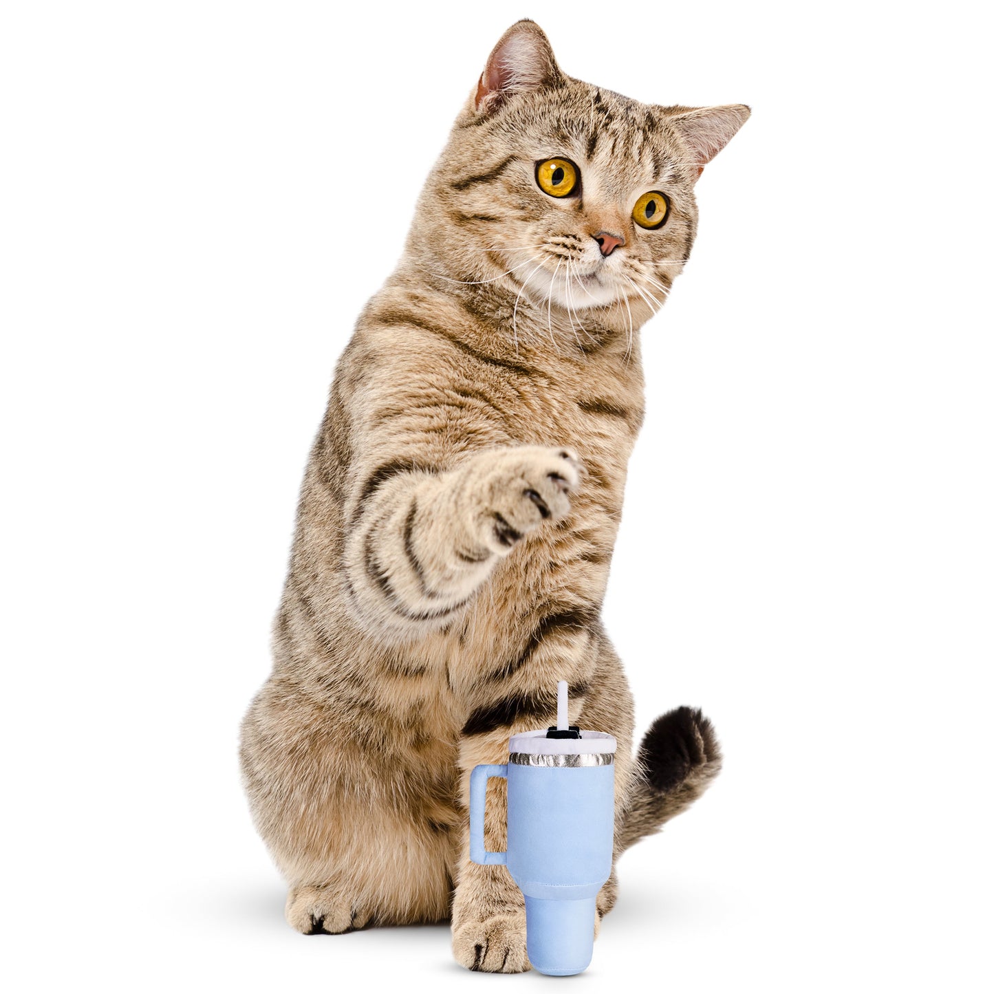 Kitty Cup Catnip Plush Cat Toy