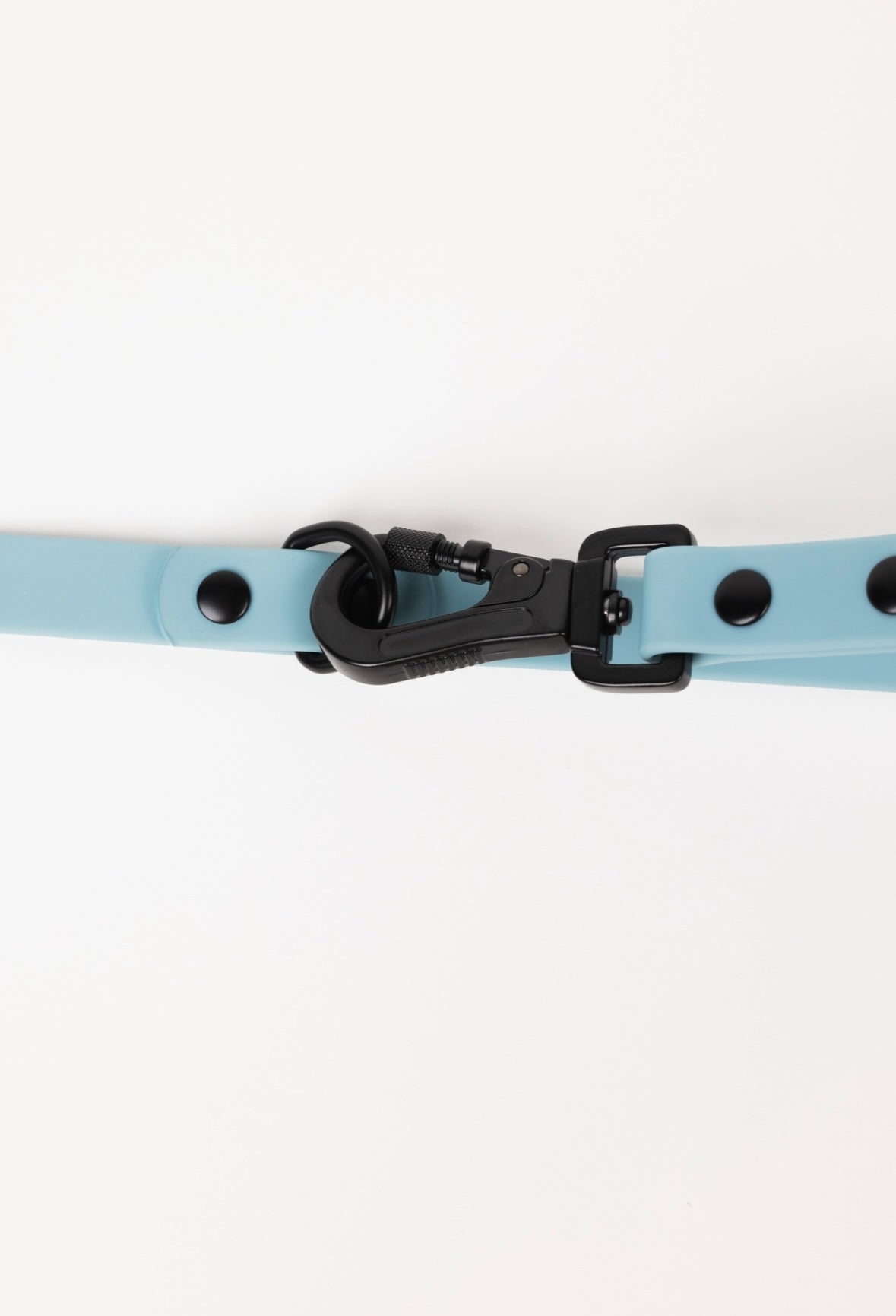 Dusty Blue All-Weather Dog Leash