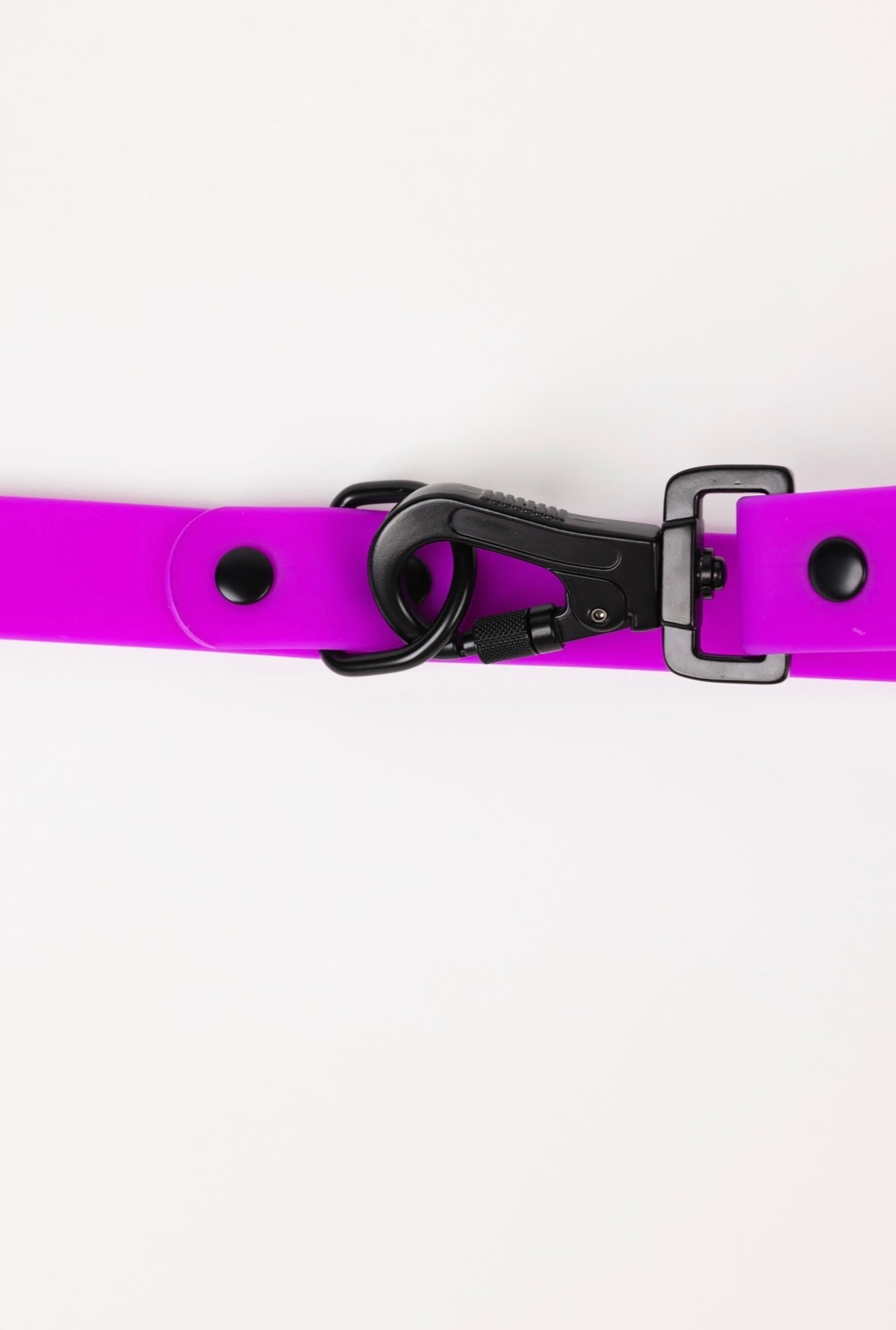 Electric Fuchsia All-Weather Dog Leash