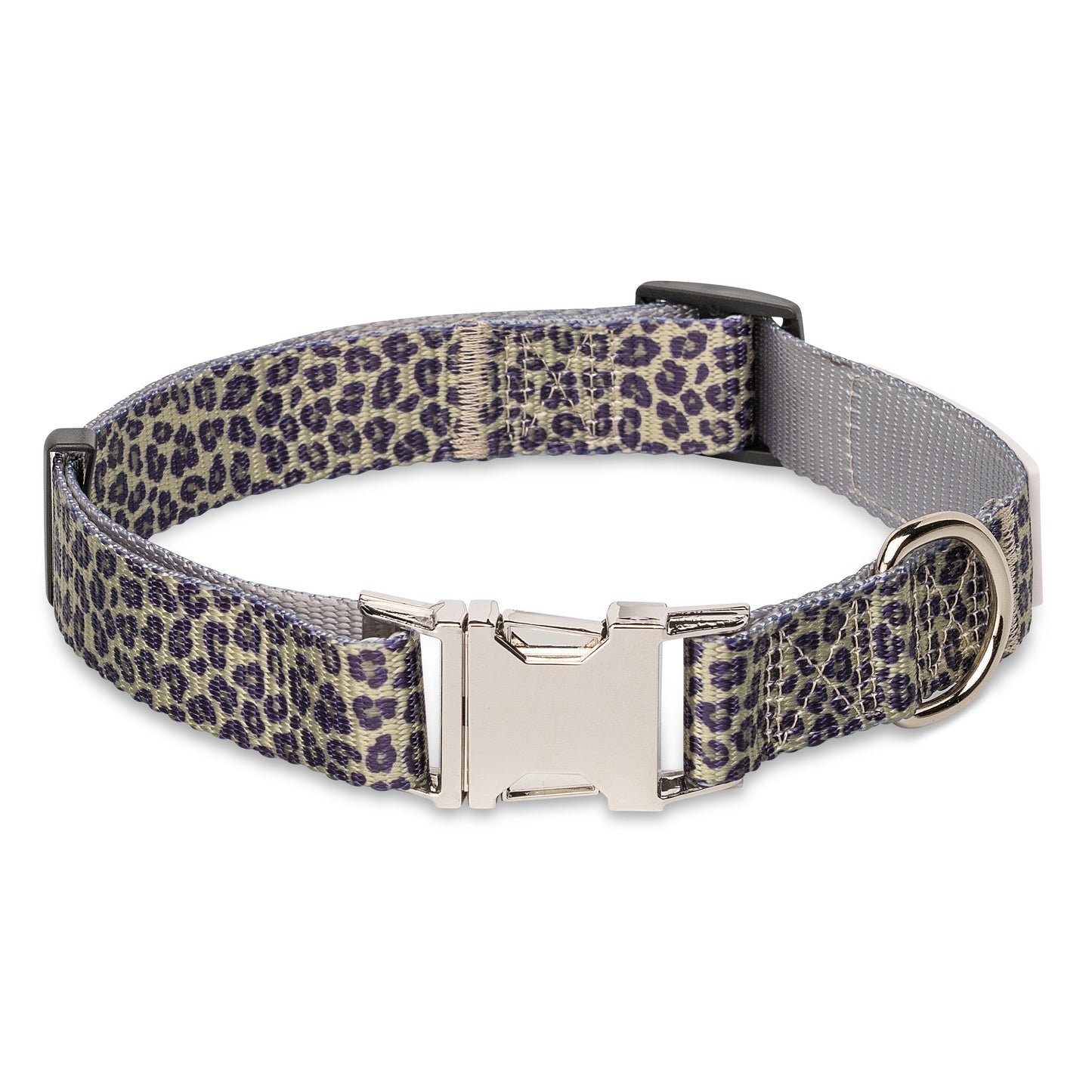 Walk on the Wild Side Dog Collar