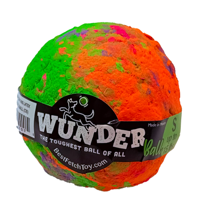 WUNDERball Best Fetch Toy