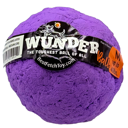 WUNDERball Best Fetch Toy