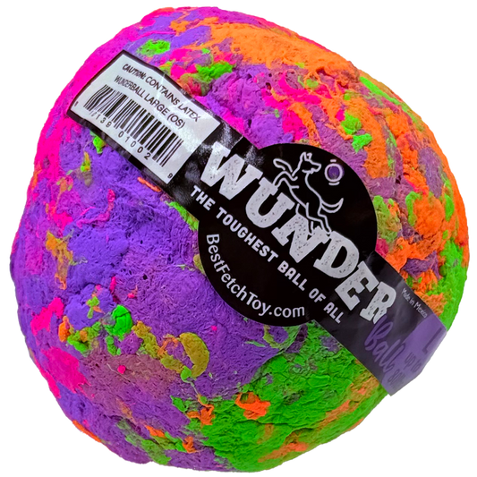 WUNDERball Best Fetch Toy