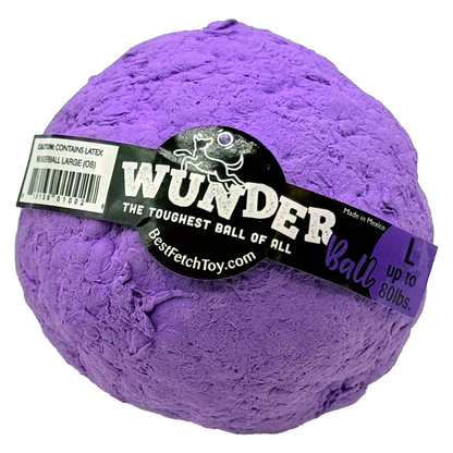 WUNDERball Best Fetch Toy