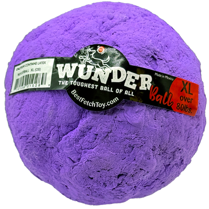 WUNDERball Best Fetch Toy