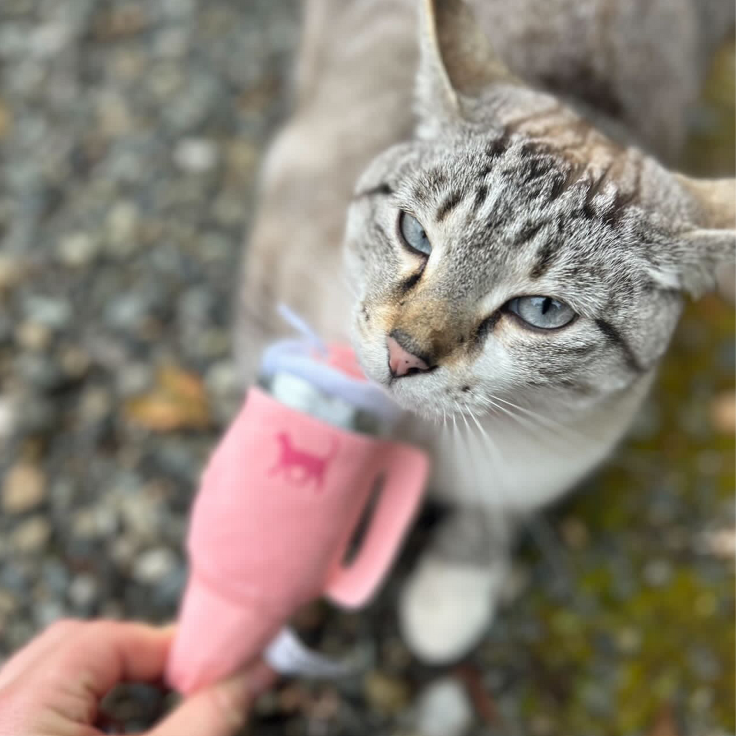 Kitty Cup Catnip Plush Cat Toy