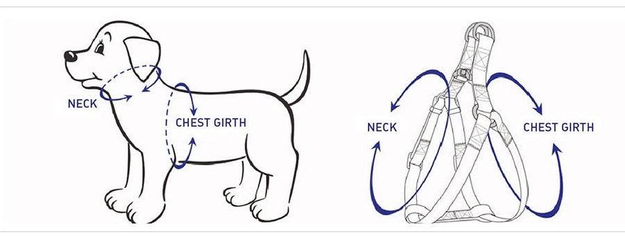 Grey Blue Dog Walking Set with Step In Harness, 5 Pieces