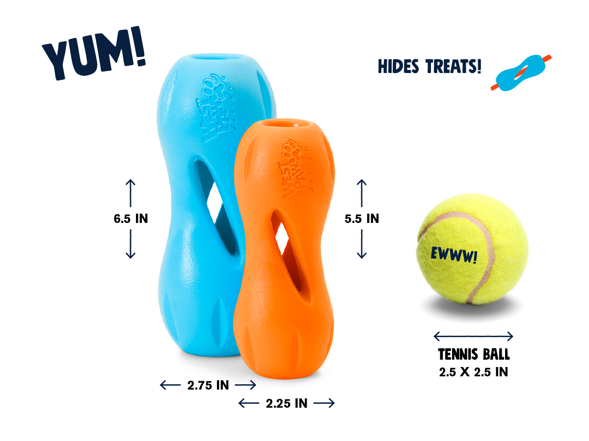 Qwizl Treat Toy for Dogs