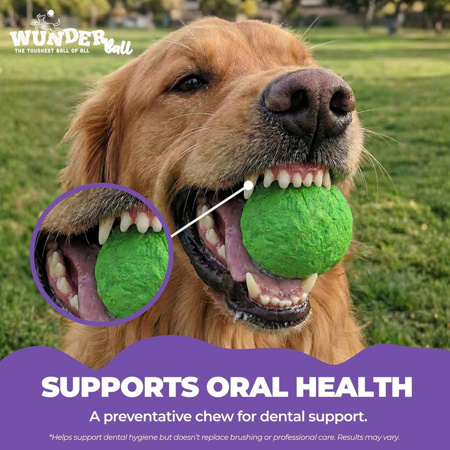 WUNDERball Best Fetch Toy
