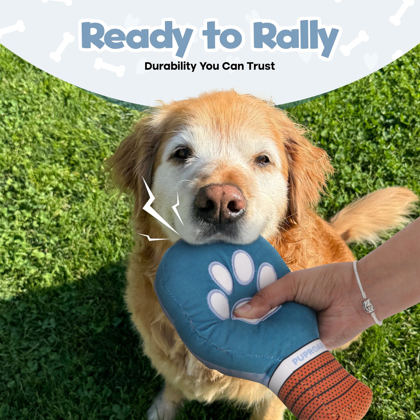 Pickleball Squeaky Dog Toy