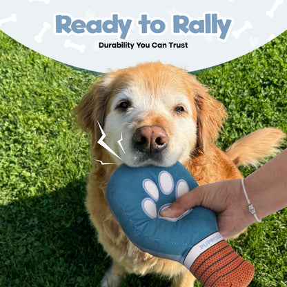Pickleball Squeaky Dog Toy