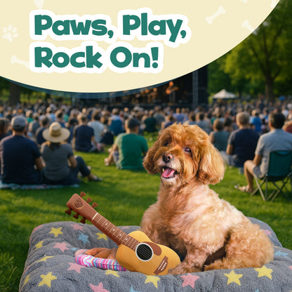 Guitar Squeaky Plush Dog Toy