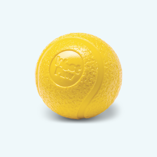 Boundr Dog Ball Toy