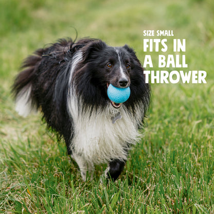 Boundr Dog Ball Toy