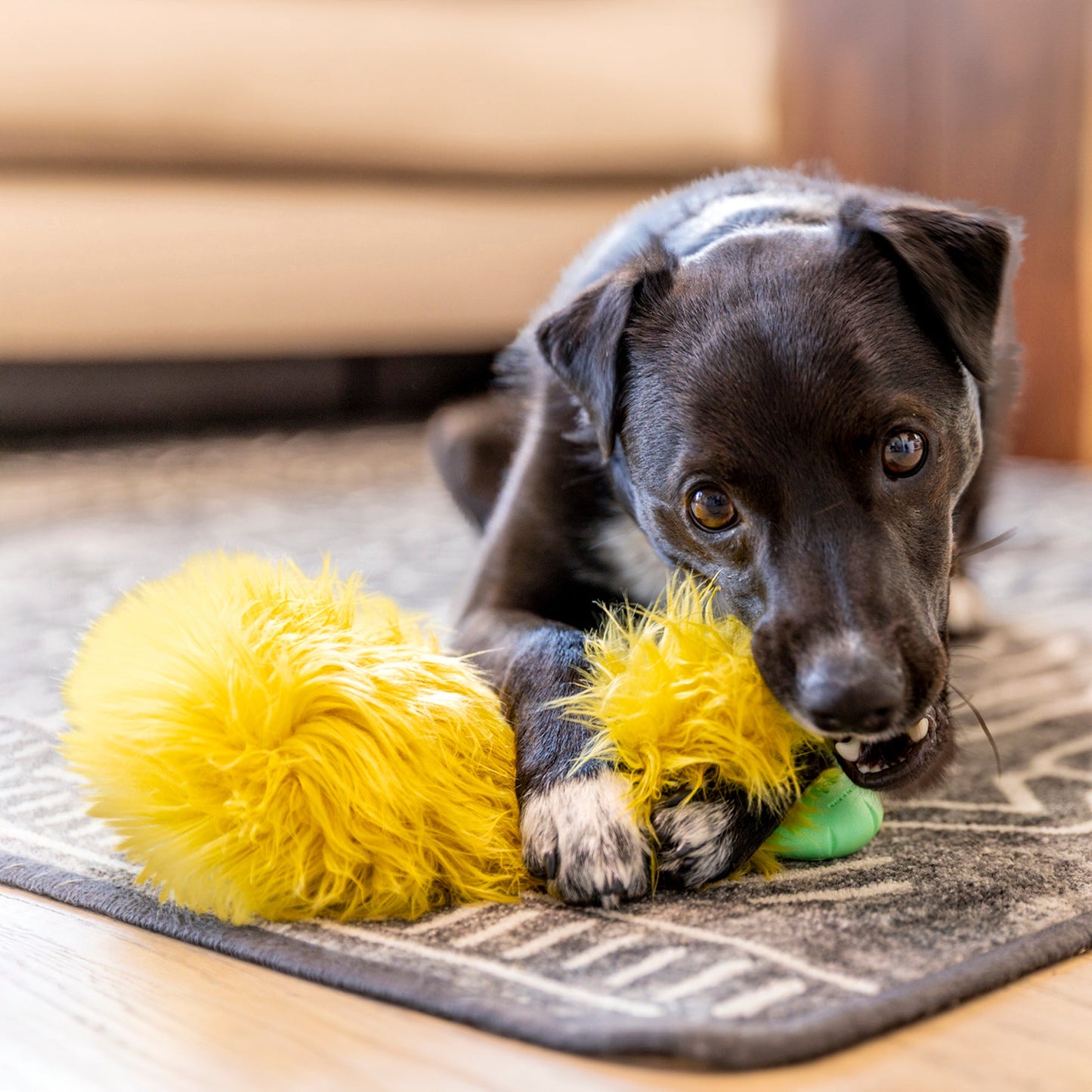 Astrid Rowdie Dog Toy