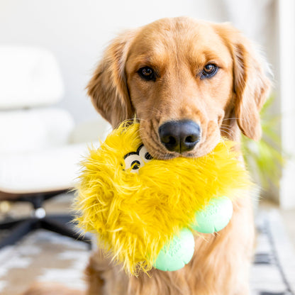 Rolf Rowdie Dog Toy