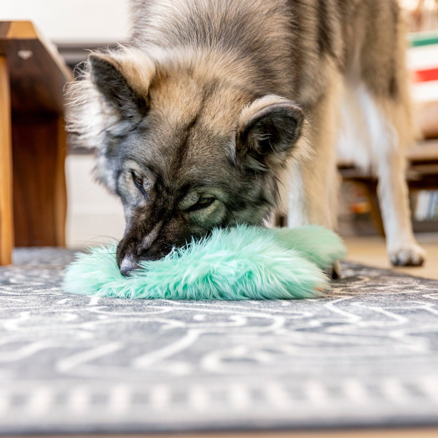 Bjorn Rowdie Dog Toy