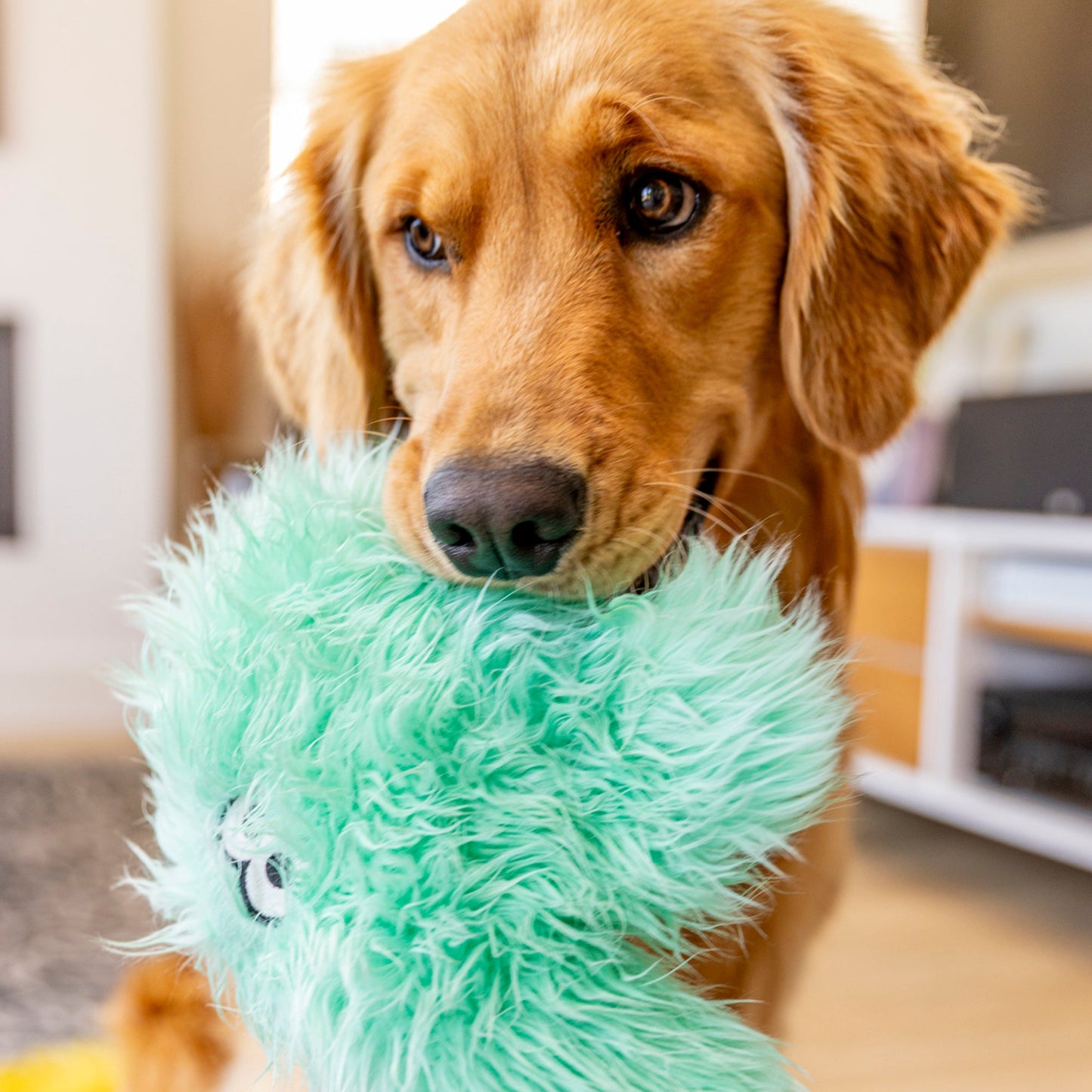 Helga Rowdie Dog Toy