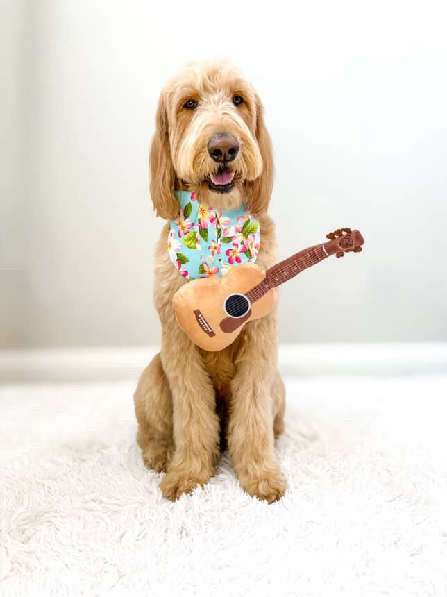 Guitar Squeaky Plush Dog Toy
