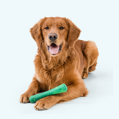 Drifty Dog Bone Chew Toy