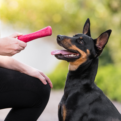 Drifty Dog Bone Chew Toy