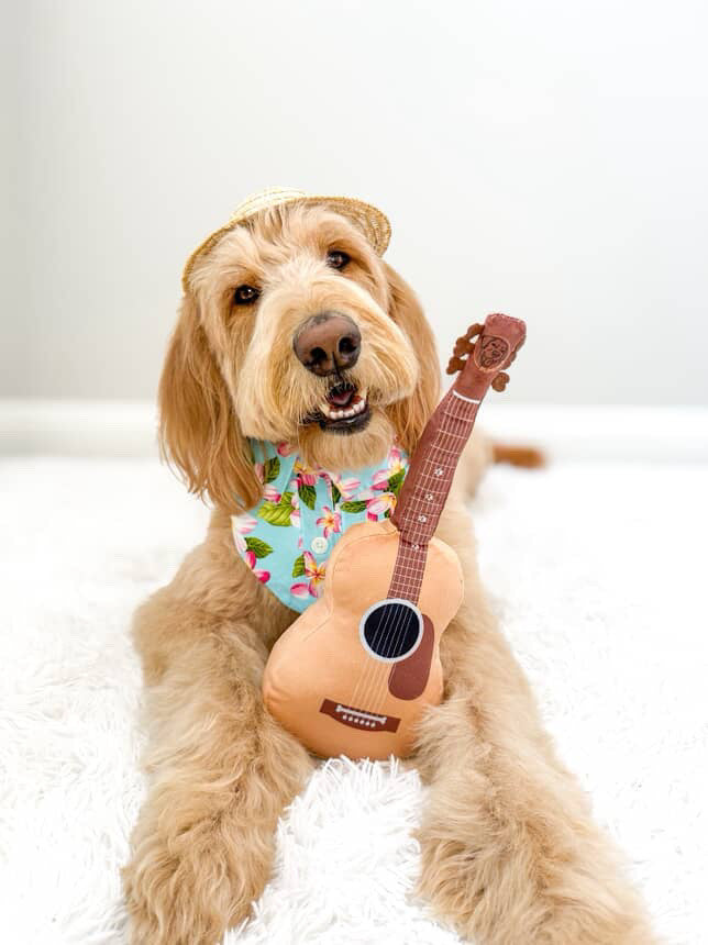 Guitar Squeaky Plush Dog Toy