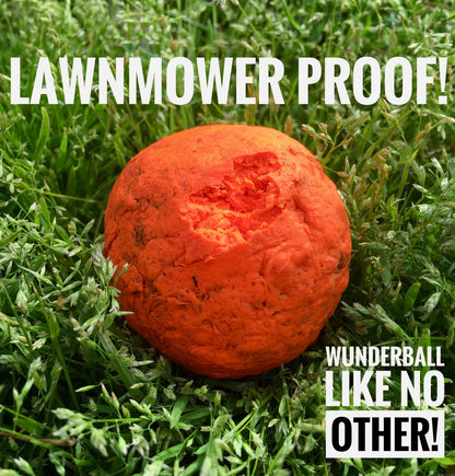 WUNDERball Best Fetch Toy