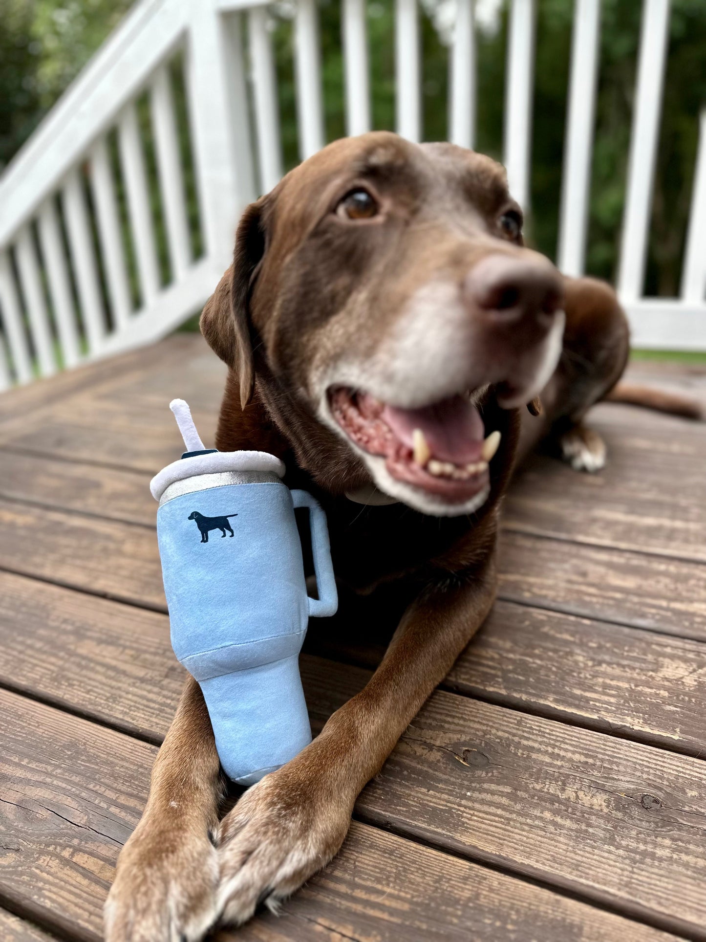 Pup Cup Squeaky Plush Dog Toy