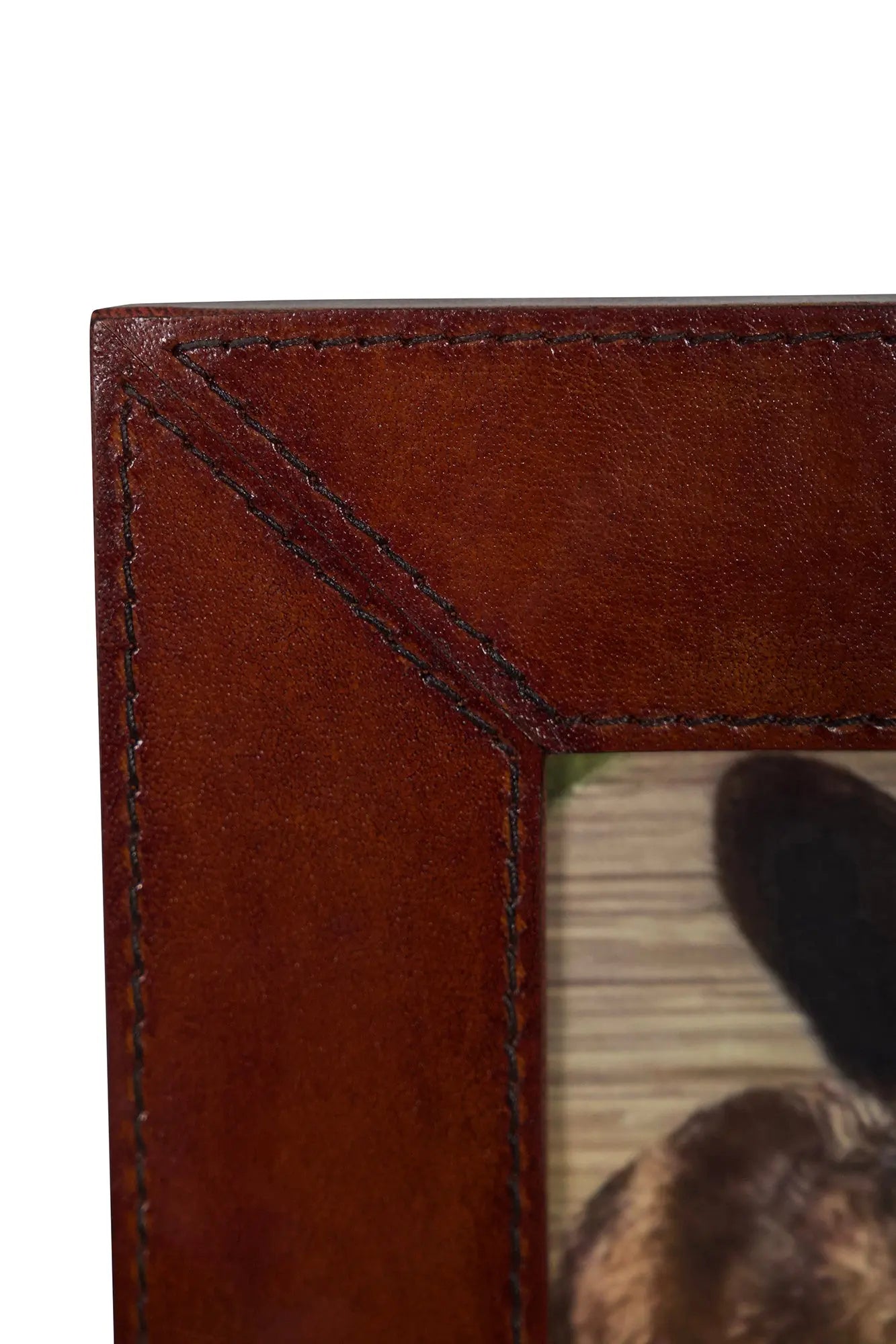 Leather Pet Picture Frame with Silver Bone Accent