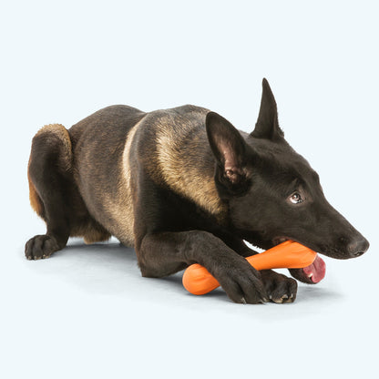 Hurley Dog Bone Chew Toy