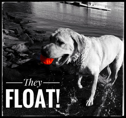 WUNDERball Best Fetch Toy