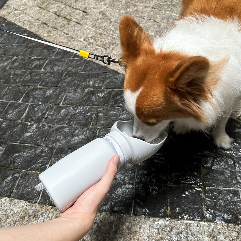 Portable Collapsible Pet Water Bottle
