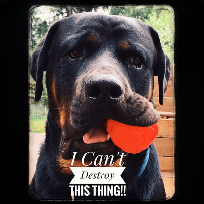 WUNDERball Best Fetch Toy