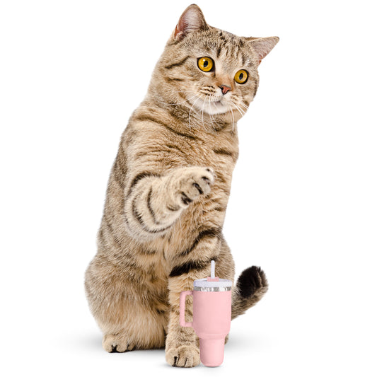 Kitty Cup Catnip Plush Cat Toy
