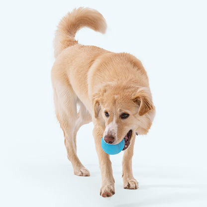 Jive Dog Ball Toy