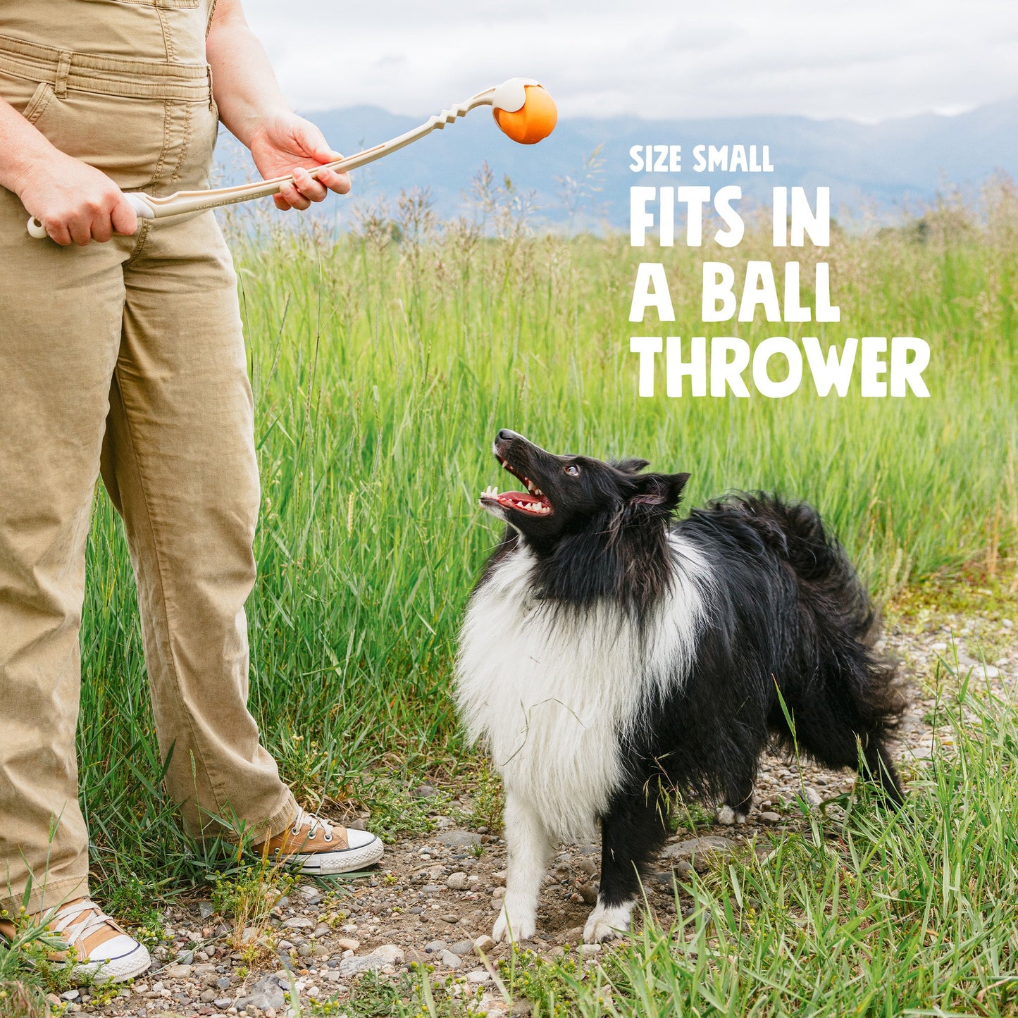 Jive Dog Ball Toy