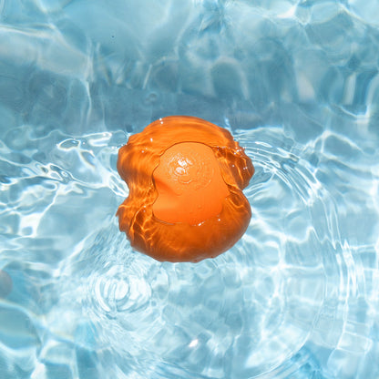 Jive Dog Ball Toy