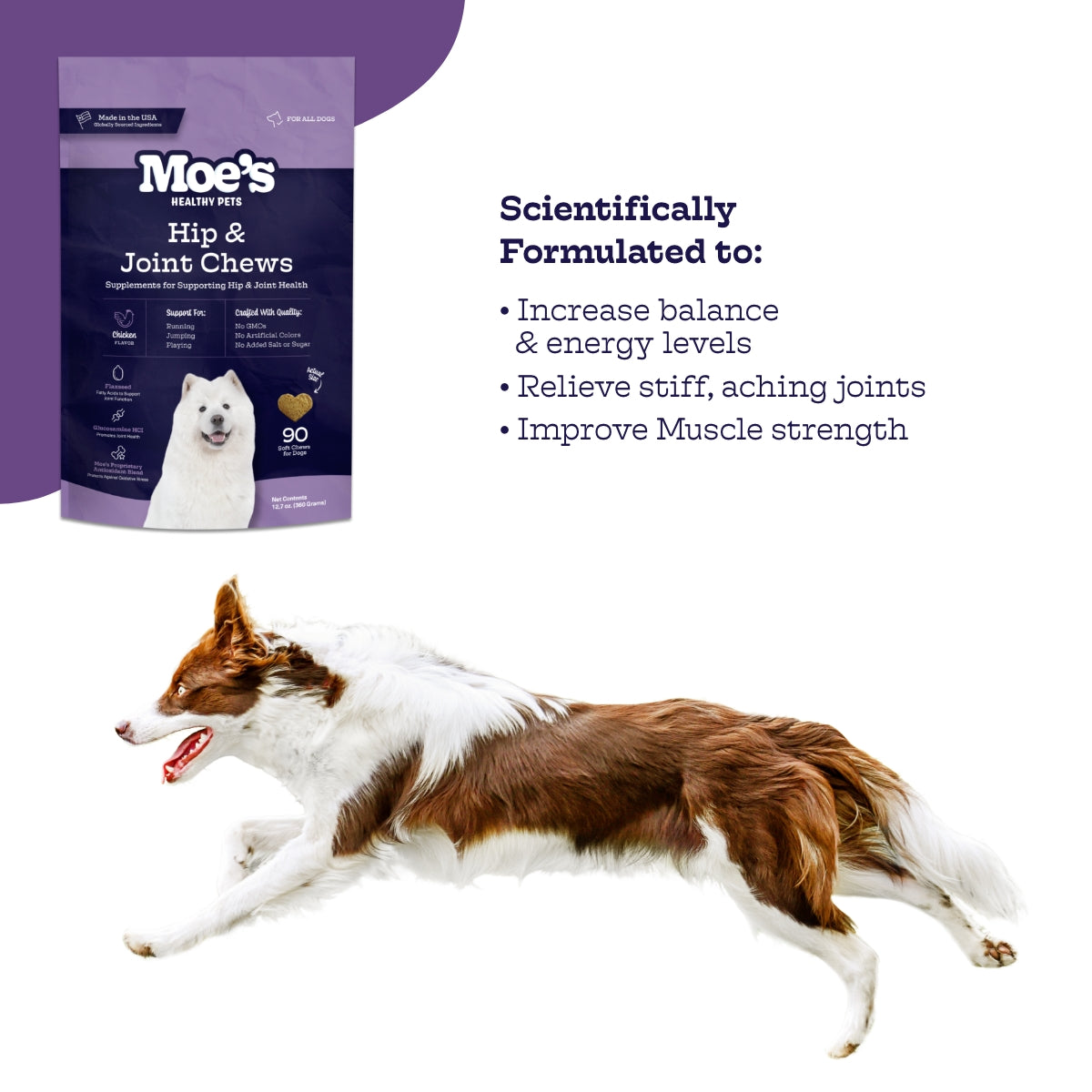 Hip & Joint Chews for Dogs