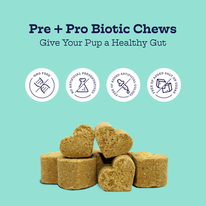 Pre + Pro Biotic Chews for Dogs