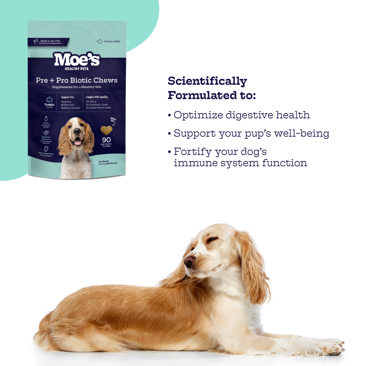 Pre + Pro Biotic Chews for Dogs
