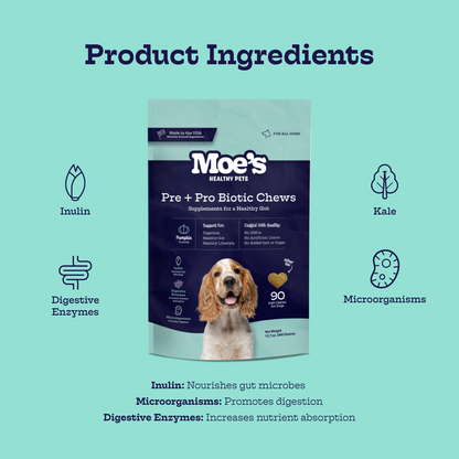 Pre + Pro Biotic Chews for Dogs