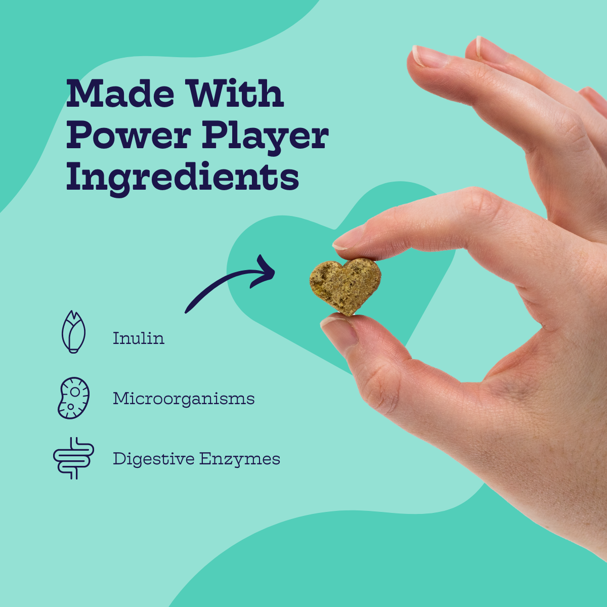 Pre + Pro Biotic Chews for Dogs