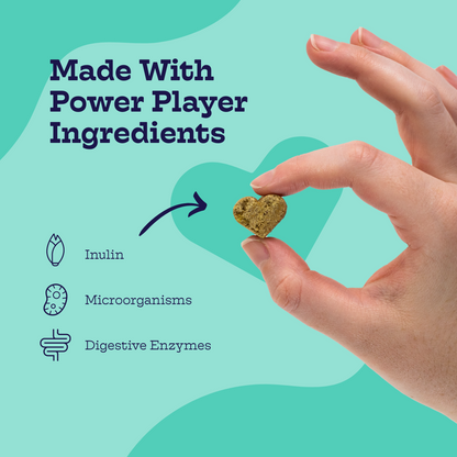 Pre + Pro Biotic Chews for Dogs