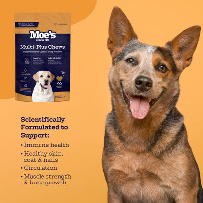 Multi-Plus Chews Daily Multivitamin for Dogs