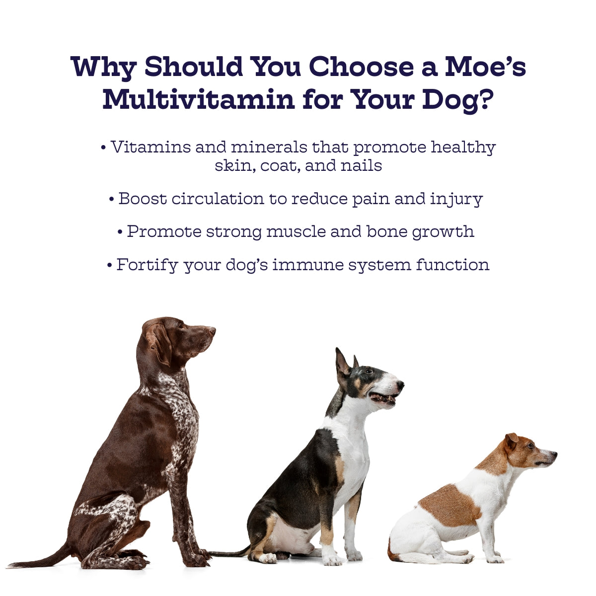 Multi-Plus Chews Daily Multivitamin for Dogs