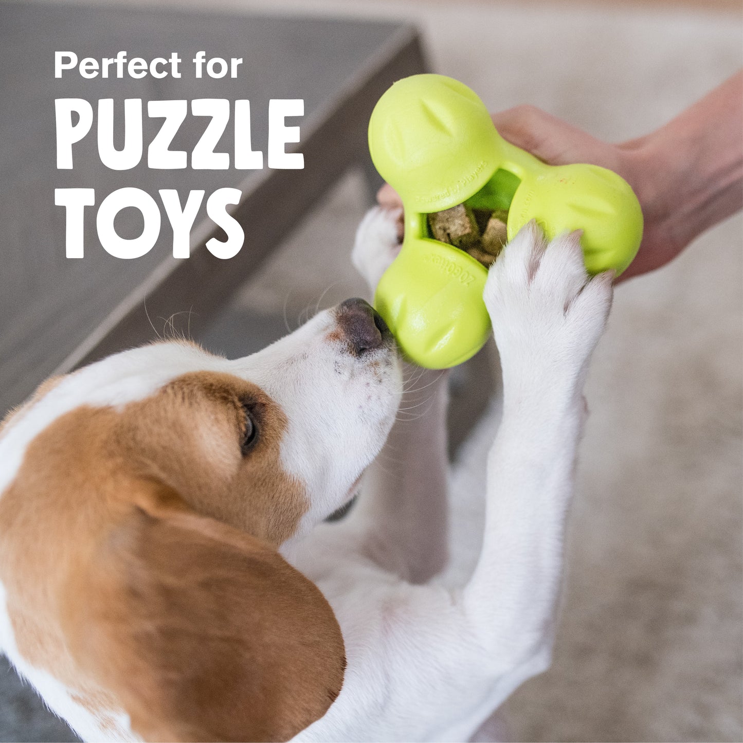 Freeze Dried Beef Heart Dog Treats