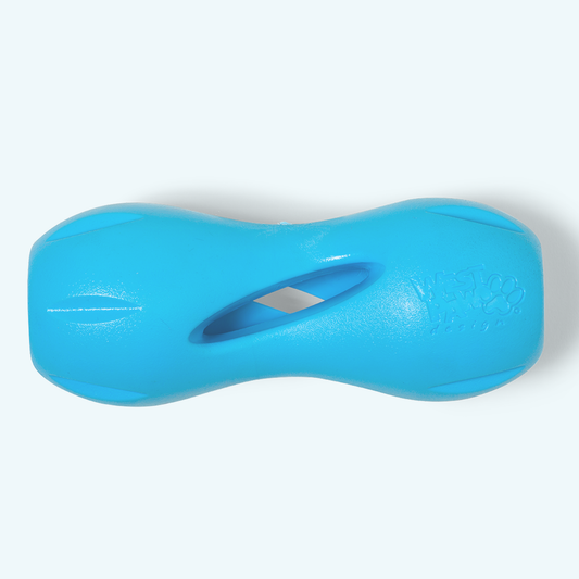 Qwizl Treat Toy for Dogs