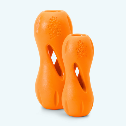 Qwizl Treat Toy for Dogs