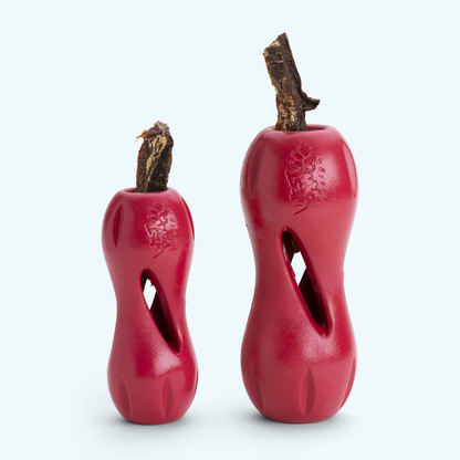 Qwizl Treat Toy for Dogs